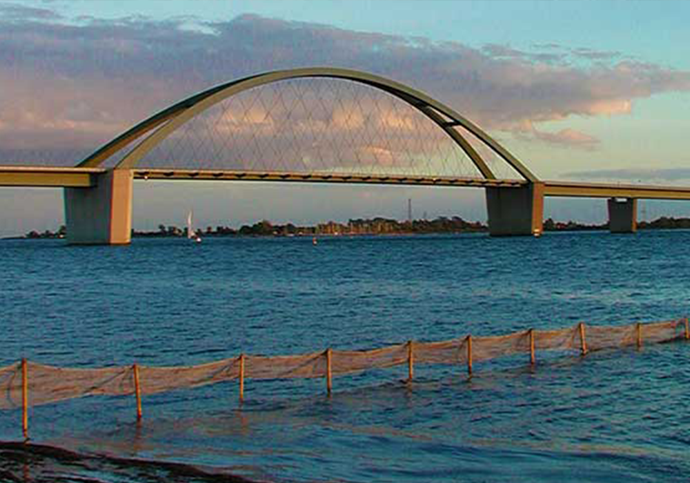 segelboot mieten damp